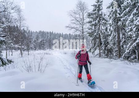 nice senior woman snowshoing in heavy snow fall in a winterly forest and moor landscape in the Bergenzer Wald area of Vorarlberg, Austria Stock Photo