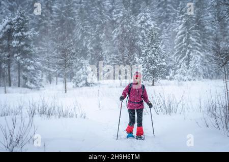 nice senior woman snowshoing in heavy snow fall in a winterly forest and moor landscape in the Bergenzer Wald area of Vorarlberg, Austria Stock Photo