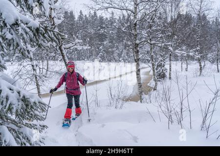 nice senior woman snowshoing in heavy snow fall in a winterly forest and moor landscape in the Bergenzer Wald area of Vorarlberg, Austria Stock Photo