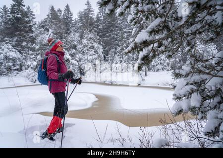 nice senior woman snowshoing in heavy snow fall in a winterly forest and moor landscape in the Bergenzer Wald area of Vorarlberg, Austria Stock Photo