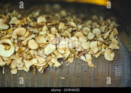 Sliced and dried apples on a conveyor belt in food processing facility. Healthy fruits, food production and automated food industry concept. Stock Photo