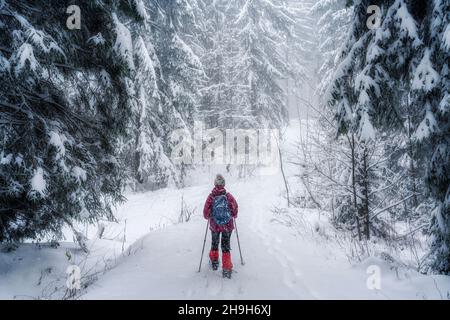nice senior woman snowshoing in heavy snow fall in a winterly forest and moor landscape in the Bergenzer Wald area of Vorarlberg, Austria Stock Photo