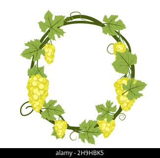 Round Frame. Vine with foliage and bunches of grapes. Viticulture and farming. Branches with berries on a dense bush. Young vineyard. Sweet autumn Stock Vector