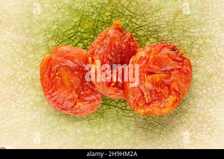 Several sweet dry apricots, close-up on a ceramic dish, top view. Stock Photo