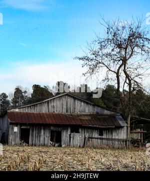 An old barn in a cornfield in winter Stock Photo