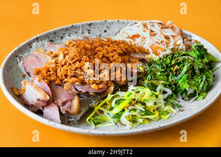 Sliced duck meat with roasted onion, green salad leaf, carrot and sprouted bean and glass noodle on plate on orange background, closeup. Asian cuisine Stock Photo