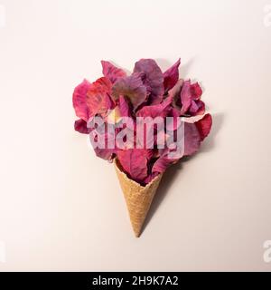 ice cream from colored autumn leaves in trendy color on a beige background. minimalistic concept Stock Photo