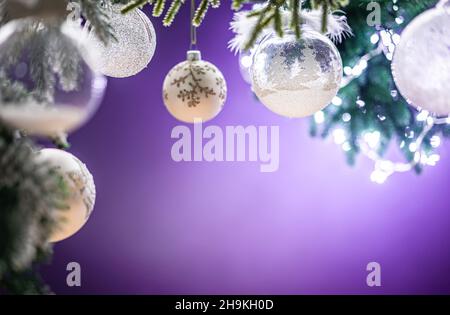 Christmas decoration with white christmas balls and fir tree branches against blurred purple background, copy space for your product or text. Stock Photo