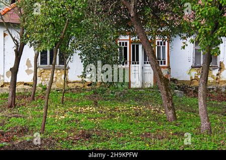 Six apple trees in late autumn near the old abandoned house with a veranda Stock Photo