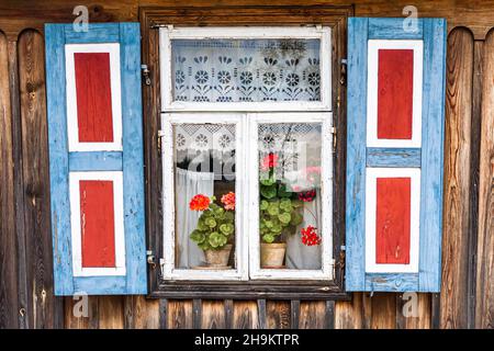 A window of an old wooden cottage, with blue and red shutters, white curtains and pelargonium flowers on the windowsill. Stock Photo