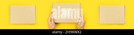 Delivery man with cardboard boxes. Shipping and delivery your product concept. Sorting and storage food, gifts etc. Mockup template, banner Stock Photo