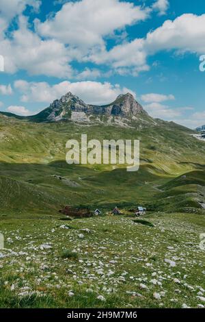 The mountain pass Sedlo is in the north of Montenegro. Fantastic green view of Saddle mountain, Durmitor massive, Montenegro Stock Photo