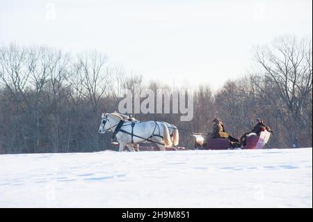 Winter Sleigh Ride, Allegra Farm, East Haddam, Connecticut, USA Stock Photo