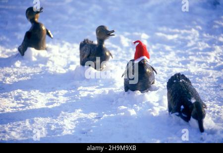 Santa Hats on the Make Way For Ducklings Statues, Boston Garden, Boston, Massachusetts, USA Stock Photo