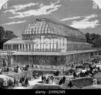 The Conservatory in the Royal Horticultural Society's Gardens, South Kensington, July 1861 Stock Photo