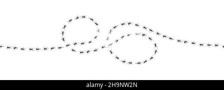 Worker ants trail line flat style design vector illustration isolated on white background. Stock Vector