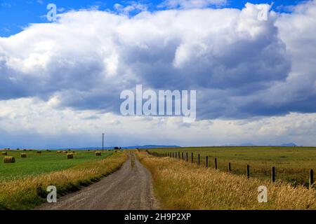 Nestled between the Rocky Mountains and the Canadian prairie, in the high ranching country of Alberta, is the historic Cowboy Trail. This scenic route Stock Photo