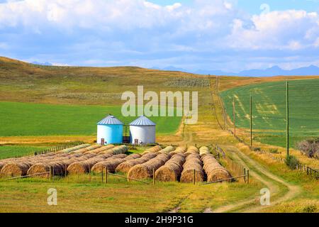 Nestled between the Rocky Mountains and the Canadian prairie, in the high ranching country of Alberta, is the historic Cowboy Trail. This scenic route Stock Photo