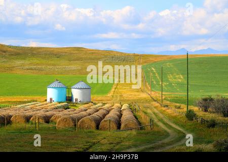 Nestled between the Rocky Mountains and the Canadian prairie, in the high ranching country of Alberta, is the historic Cowboy Trail. This scenic route Stock Photo