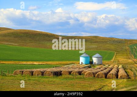 Nestled between the Rocky Mountains and the Canadian prairie, in the high ranching country of Alberta, is the historic Cowboy Trail. This scenic route Stock Photo