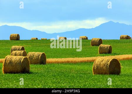 Nestled between the Rocky Mountains and the Canadian prairie, in the high ranching country of Alberta, is the historic Cowboy Trail. This scenic route Stock Photo