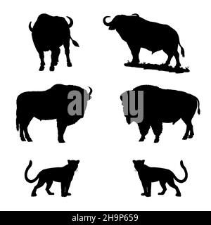 Set with animals. Silhouette of African buffalo, bison, wisent and leopard. Digital illustration. Stock Photo