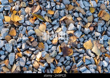 Crushed stone texture with fallen yellow autumn leaves. Rubble. Stock Photo