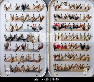 A selection of a dozen wet and dry flies designed for fly fishing for trout  Stock Photo - Alamy