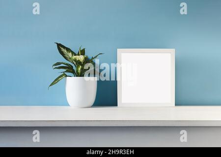 White mock up photo frame and Dieffenbachia, or Dumb cane young plant in a white flower pot on a light blue background Stock Photo