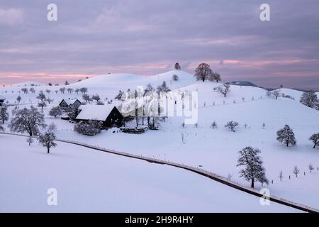 Winter landscape at Hirzel, drumlin landscape, trees on hill, Canton Zurich, Switzerland Stock Photo