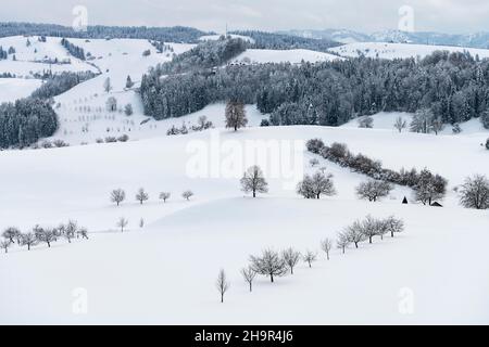 Winter Landscape at Hirzel, Drumlin Landscape, Canton of Zurich, Switzerland Stock Photo