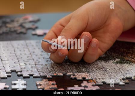Piece of jigsaw puzzle in child hands. Search for the right part Stock Photo