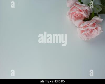 Artificial pink roses with copy space on a white background. ready to add text Stock Photo