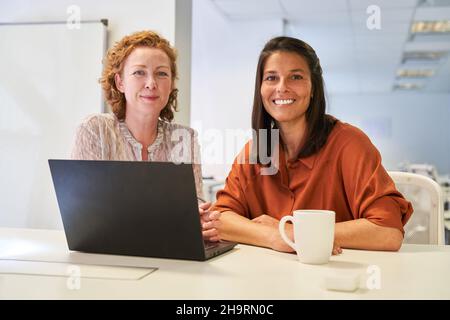 Two business women working together as a team on laptop computer online in the office Stock Photo