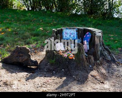 Fairy garden in an old tree stump on the edge of the lake at Petersfield Heath, Hampshire, UK Stock Photo
