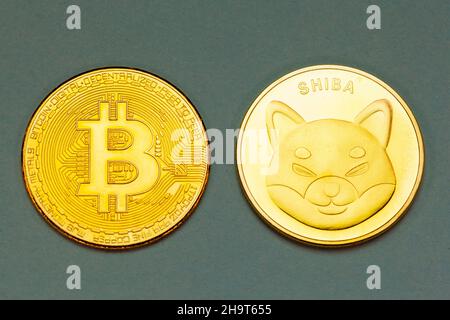 Shiba Inu cryptocurrency coin. Stock Photo