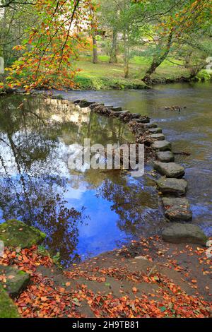 Stepping stones across the River Don on the Upper Don Trail, Forge Woods, Wortley near Barnsley, South Yorkshire, England, UK. Stock Photo