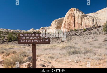 Fruita, Capitol Reef National Park, Utah, USA. Signpost in desert landscape at junction of the Hickman Bridge, Rim Overlook and Navajo Knobs Trails. Stock Photo