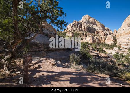 Fruita, Capitol Reef National Park, Utah, USA. View along the Hickman Bridge Trail to the steep rugged cliffs of the Waterpocket Fold, autumn. Stock Photo