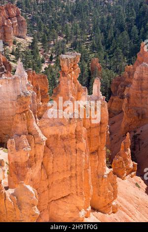 Bryce Canyon National Park, Utah, USA. View over towering hoodoos in the Queen's Garden from the Navajo Loop Trail below Sunset Point. Stock Photo