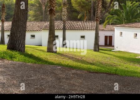 Short cut green grass lawn with palm trees, white numbered bungalow houses background - holiday resort Stock Photo