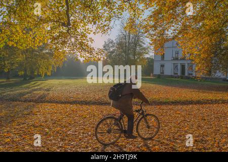 sycamore maple, great maple (Acer pseudoplatanus), Cyclists in Jenischpark in autumn, Germany, Hamburg, Flottbek Stock Photo