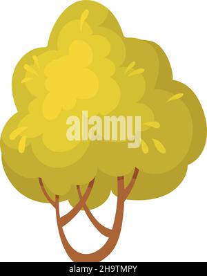 Thin autumn tree. Natural garden tree with texture leaves, vector design isolated on white background Stock Vector