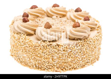 nut cake, walnut cake, walnut walnuts, nut, nuts, nutty, brittle, background, white, cake, decorating, cream, brown, dessert, optional, piece, real, f Stock Photo
