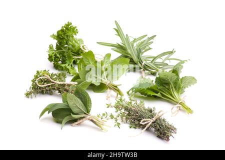 herbs, different spices, mix, circle, side by side, herb garden, together, thyme, sage, mint, peppermint, lemon balm, rosemary, parsley, green, many, Stock Photo