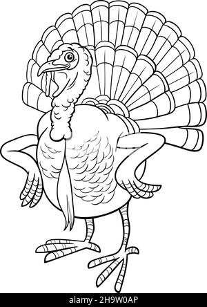 Black and white cartoon illustration of turkey bird farm animal character coloring book page Stock Vector