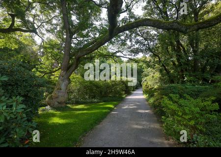 '21.09.2021, Germany, North Rhine-Westphalia, Essen - Path in the Grugapark, a park in Essen, is from the first Great Ruhrlaendische horticultural exh Stock Photo