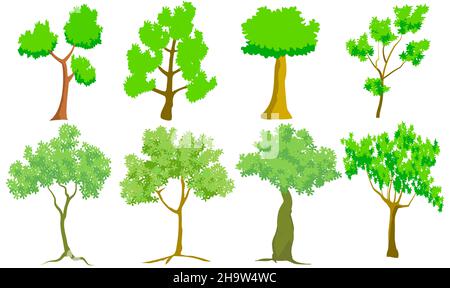 vector trees isolated on white background Stock Vector