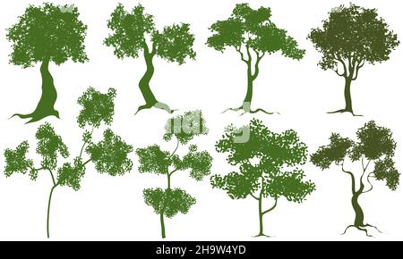 vector trees isolated on white background Stock Vector