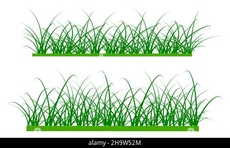 vector grass isolated on white background Stock Vector